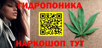 прущие грибы Вязники