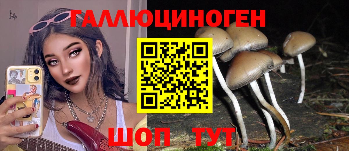 Галлюциногенные грибы мицелий Джанкой