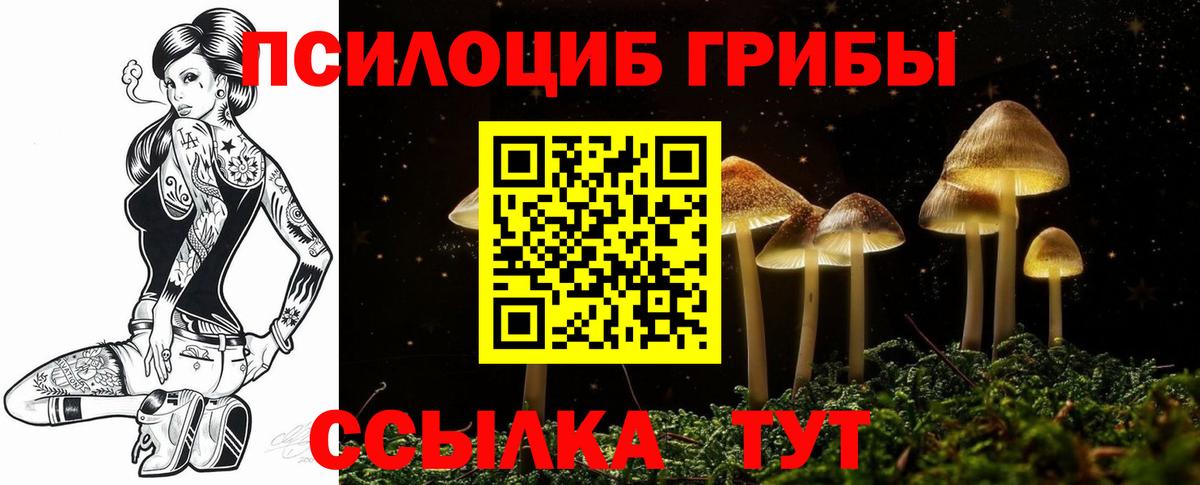 Джанкой  Галлюциногенные грибы MAGIC MUSHROOMS  Вход с VPN 